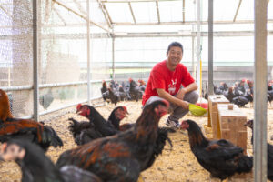 坂本龍馬にも愛された、全国的に珍しい幻の「シャモ」が高知県に