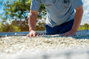 高知では珍しい有機JAS認定の土佐文旦。安心・安全・美味の自然派柑橘