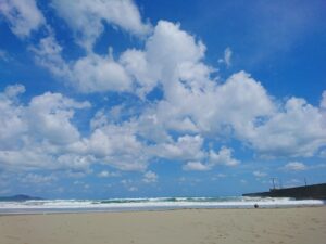 黒潮町のうまいもの 特産品をまるごと高知Online Shop編集部が紹介します